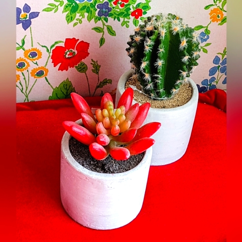 2 Cute Faux Succulents - Set of Two (Cylindrical Pots)